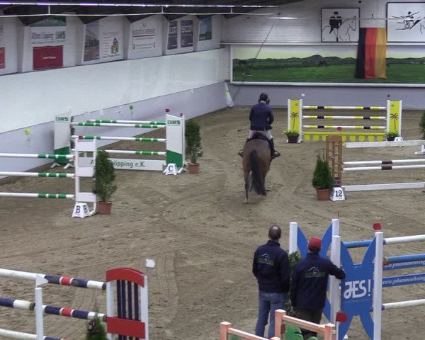 Reitturnier Legden 2024