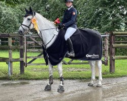 jumper Fuego 165 (KWPN (Royal Dutch Sporthorse), 2010, from Quality Time)