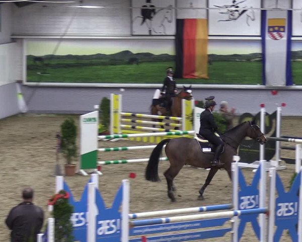 Reitturnier Legden 2024