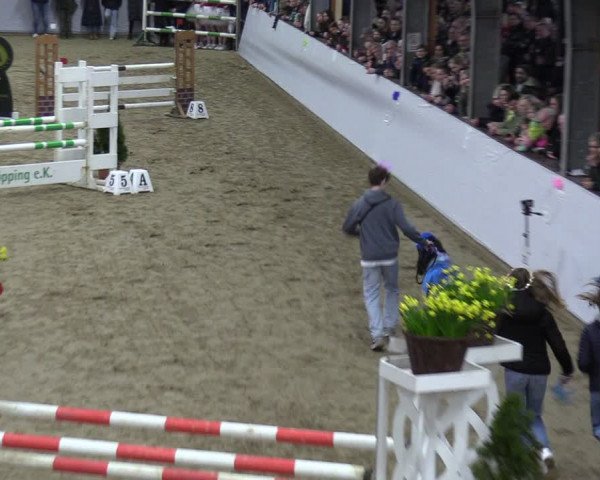 Reitturnier Legden 2024