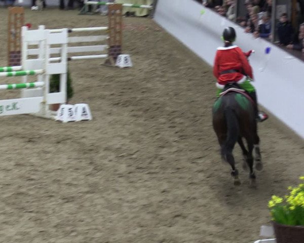 Reitturnier Legden 2024