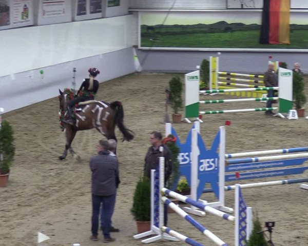 Reitturnier Legden 2024