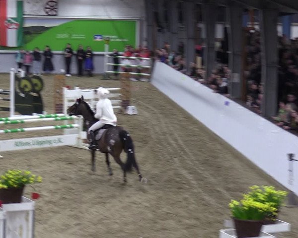 Reitturnier Legden 2024