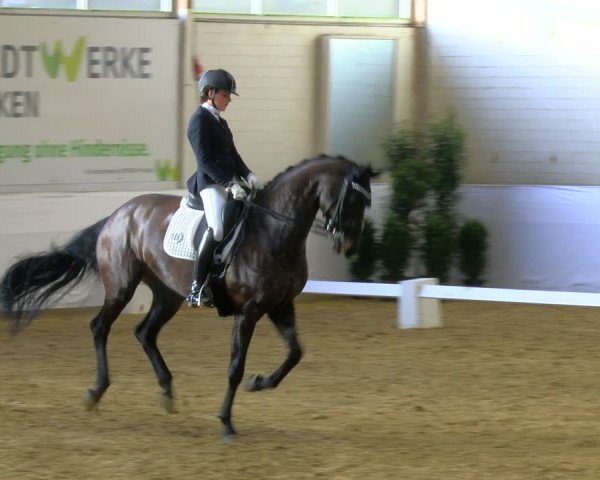 Reitturnier Borken 2024