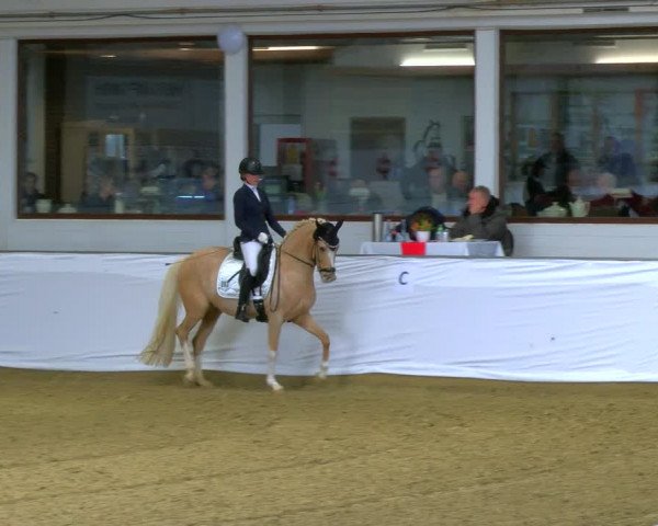 Reitturnier Borken 2024