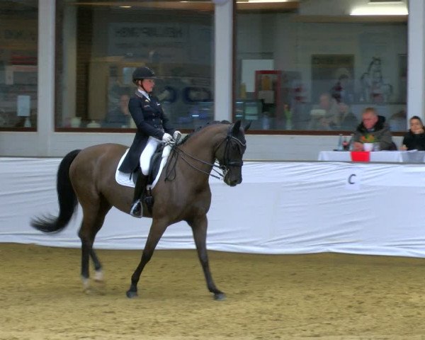 Reitturnier Borken 2024