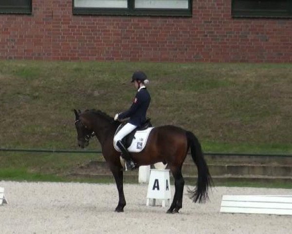 Riesenbeck INTERNATIONAL 2011