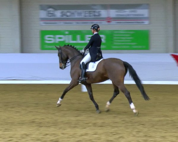 Reitturnier Borken 2024