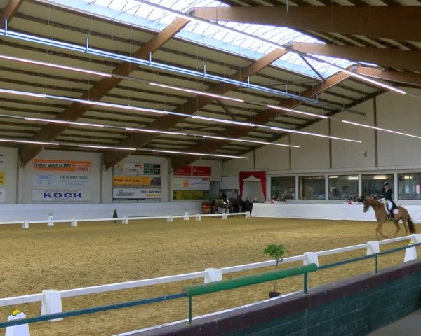 Reitturnier Borken 2024