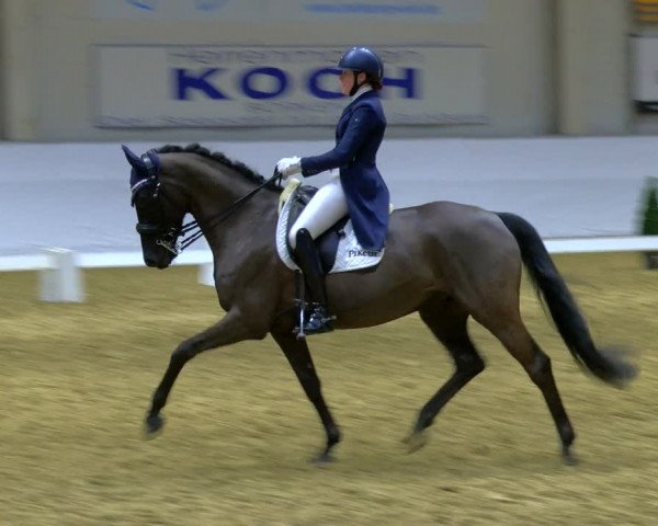 Reitturnier Borken 2024
