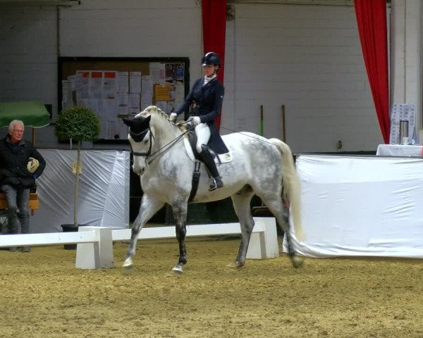 Reitturnier Borken 2024
