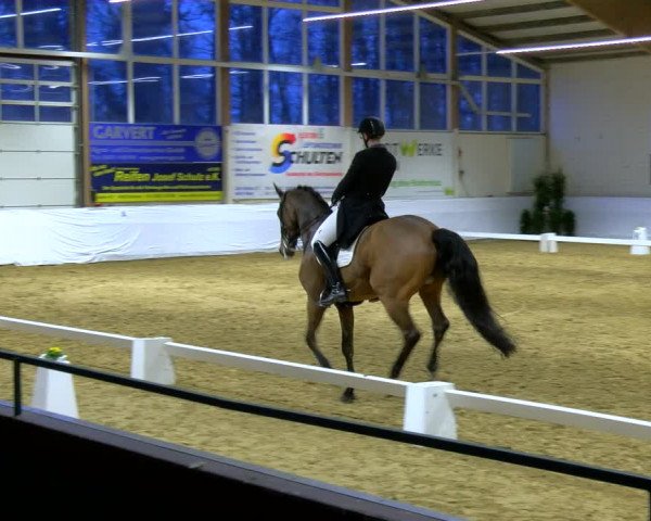 Reitturnier Borken 2024