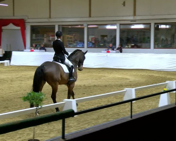 Reitturnier Borken 2024