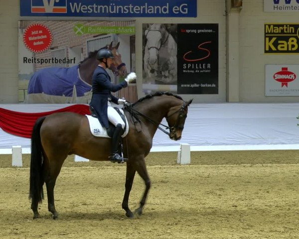 Reitturnier Borken 2024