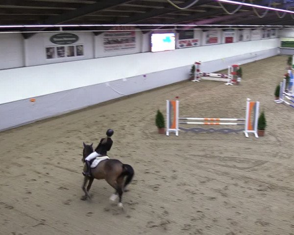 Reitturnier Legden 2024