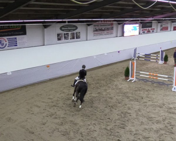 Reitturnier Legden 2024