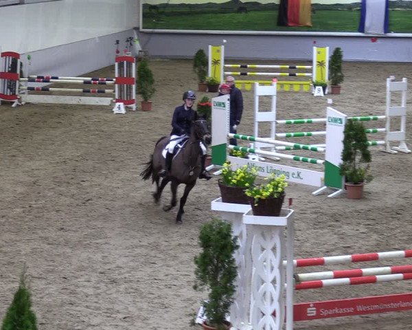 Reitturnier Legden 2024