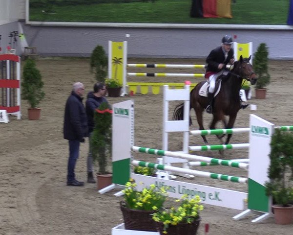 Reitturnier Legden 2024