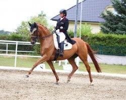 dressage horse My Romanov's Princess (KWPN (Royal Dutch Sporthorse), 2010, from Blue Hors Romanov)