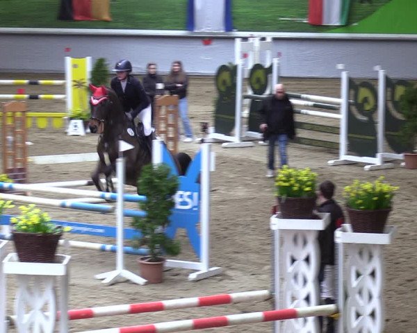 Reitturnier Legden 2024