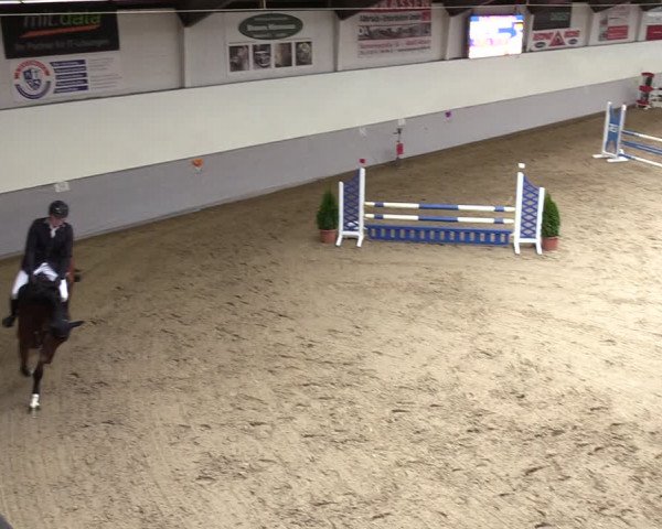 Reitturnier Legden 2024