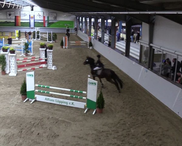 Reitturnier Legden 2024