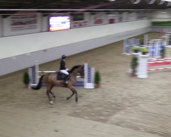 Reitturnier Legden 2024