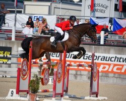 Springpferd Cupido V (KWPN (Niederländisches Warmblut), 2007, von Numero Uno)