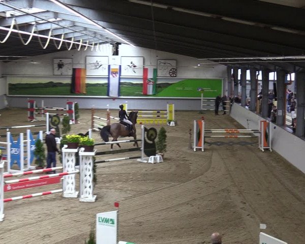 Reitturnier Legden 2024