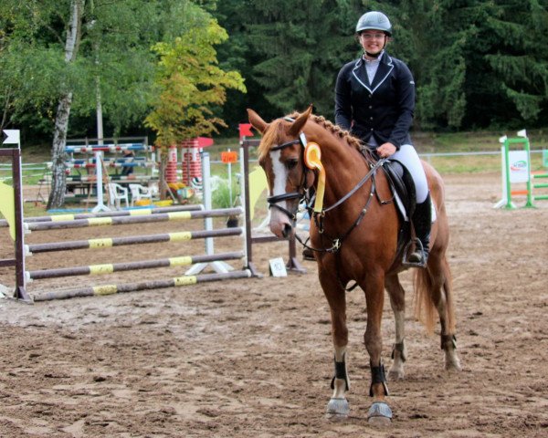 jumper Patricia (Zweibrücken, 2008, from Power Light)