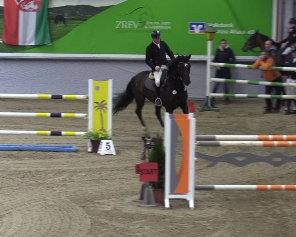 Reitturnier Legden 2024