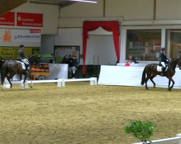 Reitturnier Borken 2024