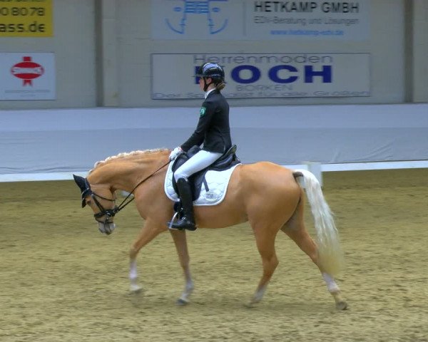 Reitturnier Borken 2024