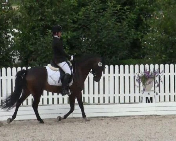 Riesenbeck INTERNATIONAL 2011