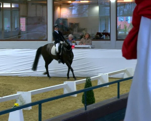 Reitturnier Borken 2024