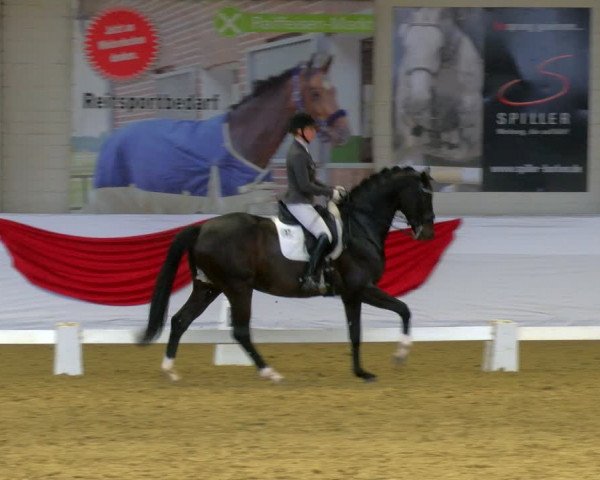 Reitturnier Borken 2024