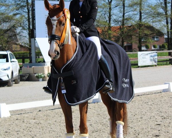Zuchtstute Oliviera 3 (KWPN (Niederländisches Warmblut), 2019, von Sezuan's Donnerhall)