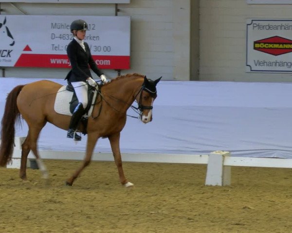 Reitturnier Borken 2024