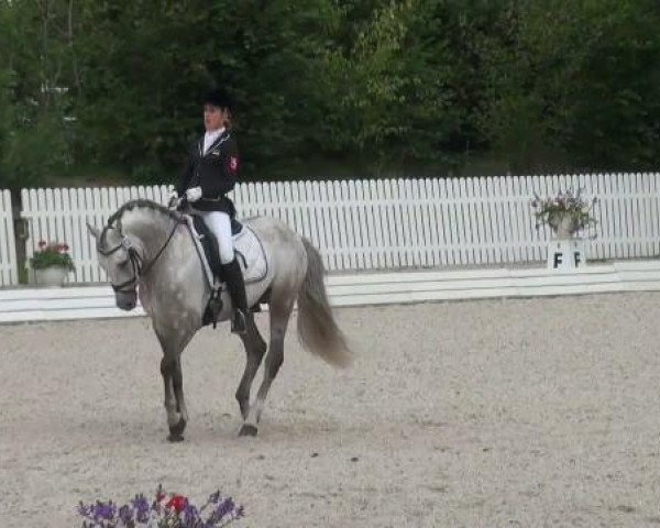 Riesenbeck INTERNATIONAL 2011