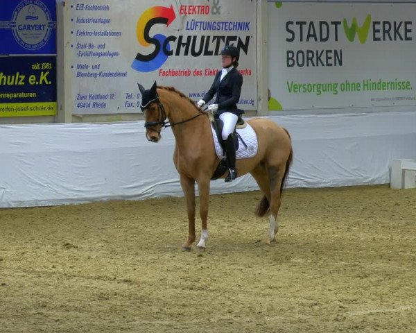 Reitturnier Borken 2024