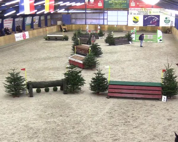 Reitturnier Großenwiehe 2024
