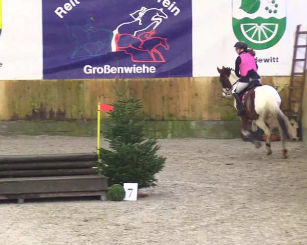 Reitturnier Großenwiehe 2024