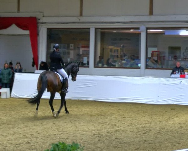 Reitturnier Borken 2024