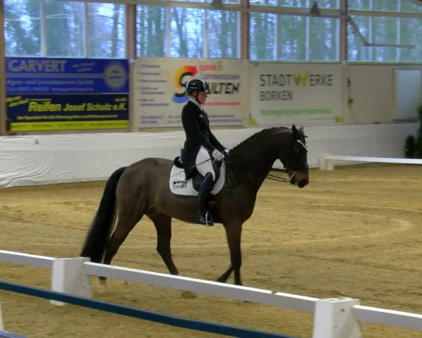 Reitturnier Borken 2024