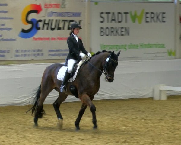 Reitturnier Borken 2024