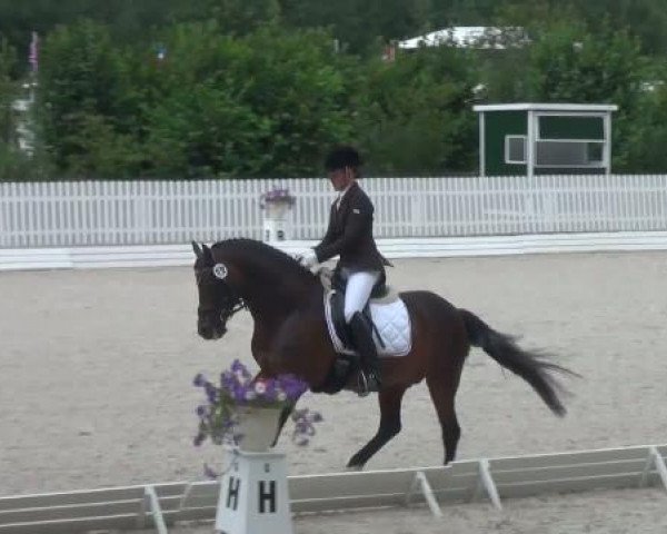 Riesenbeck INTERNATIONAL 2011