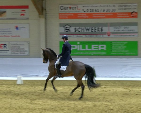 Reitturnier Borken 2024