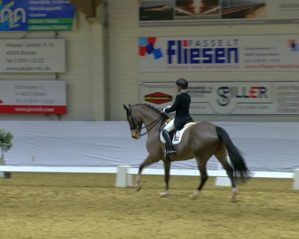 Reitturnier Borken 2024
