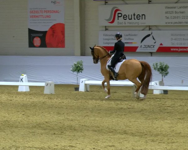 Reitturnier Borken 2024