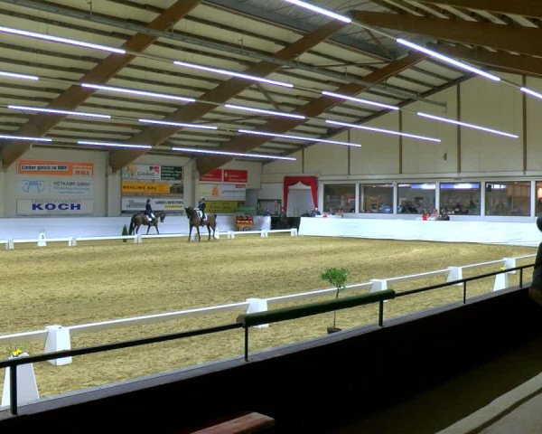 Reitturnier Borken 2024